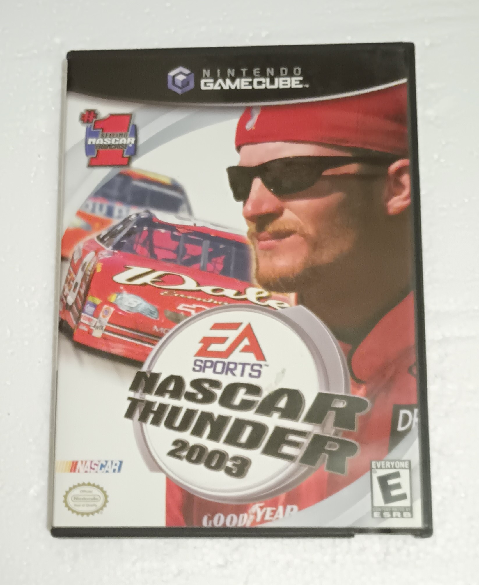 NASCAR: Thunder 2003